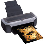 Lyson Printing Media