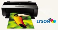 Lyson Bulk Ink Systems for R1900 and R2880